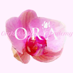 Orchid Riding Academy