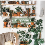 lil' sprouts