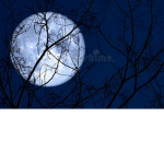 my moon sky egg