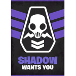 Shadow Agency!