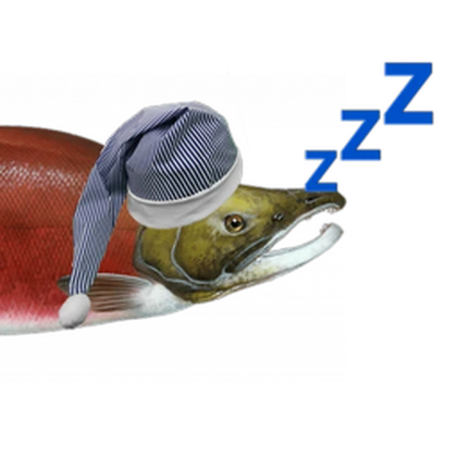 sleepy salmon Roblox group icon