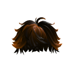 Orange&Black Shiny Hair