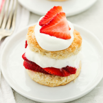 Shortcake Safari Squad