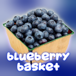 Blueberry Basket