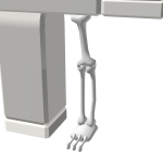 Skelly - Left Leg