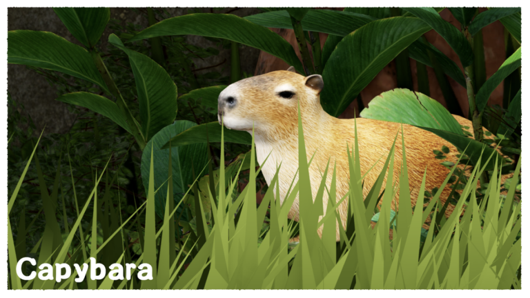 [QUESTS🌿] Amazonian Survival EA screenshot 3