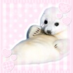 ૮꒰ ˶´ ﻌ ˋ˶꒱ა