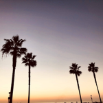 Orange Sunset Vibes