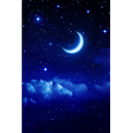 aesthetic lunar moon clothing