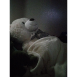 Jimmy da bear