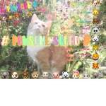 # Pawsome Squad #