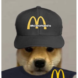 doge mc. under progress
