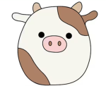 Die squishmallow Gang