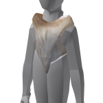 Mini El Gato Cat - Torso