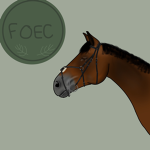 Forest Oaks Equestrian Center