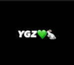 YGZ#4700