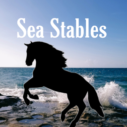 🌊Sea Stables🌊