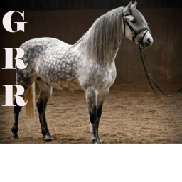 Gentle Reins Ranch