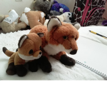 foxs#############################################