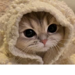 ♡
