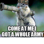 Animal army for Animals :D