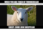SheepClan Warrior Cats: Ultimate Edition