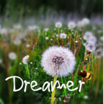 Dreamer