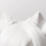 /kitsunie