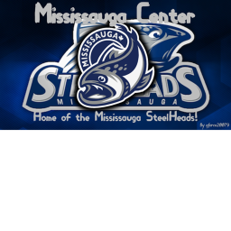 Hockey Game