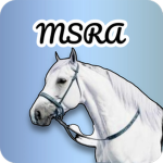 -Starlight Equestrian Centre-