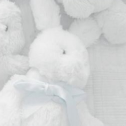 . ˚｡.୨୧ ˚ ༉‧˚.