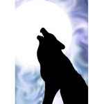 ~{The pack}~
