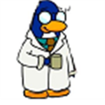 Team Club Penguin