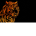 The Tiger's Squad