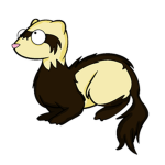 De Ferret Squad
