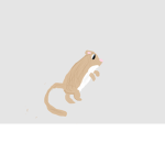 Gerbils United