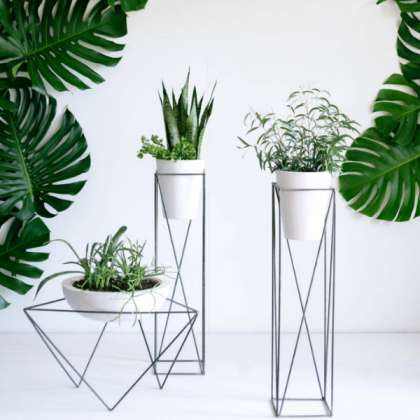 plant aesthetic Roblox decal