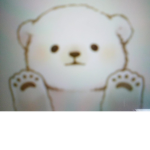 Cute bear's
