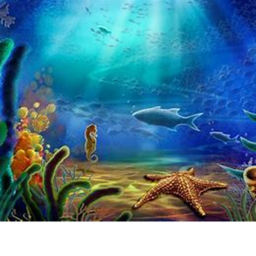 Sea Life Tycoon