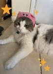 I love Kirby and so what