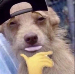 IM GETTING RIP #########