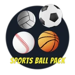 Sports Ball Pack