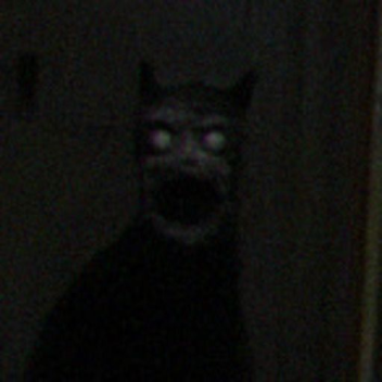 Five Nights at Zdravich's