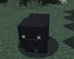 u*