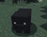 u* Group Thumbnail