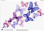 Queen of butterflies
