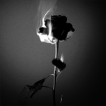 Middleof_theNight