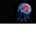 Cognition