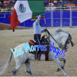 Los Morros Vagos