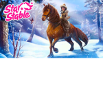 Starstable fan group